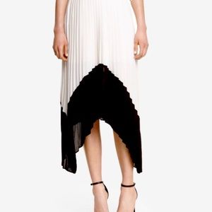 Express Asymmetrical Pleated Skirt